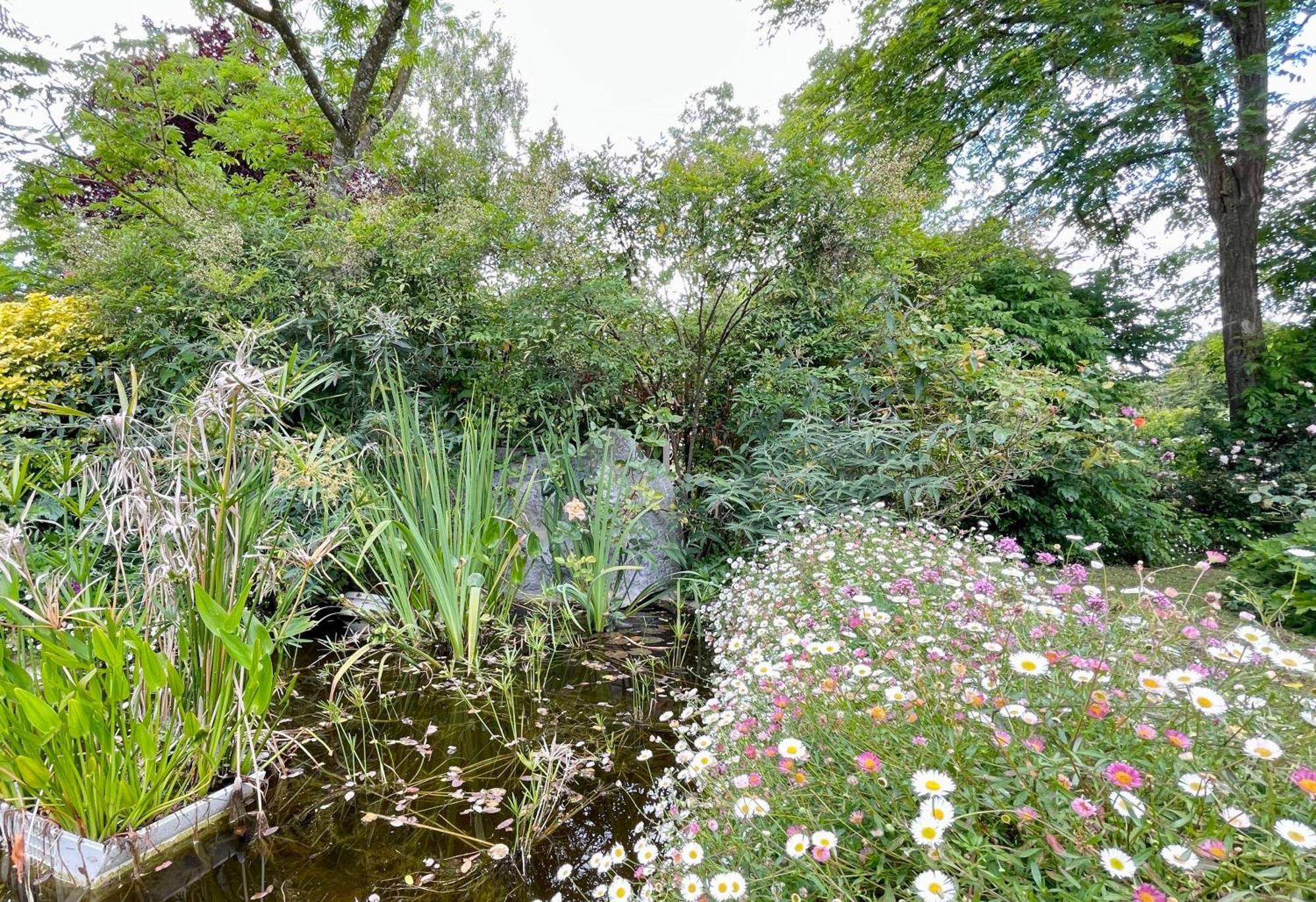 Chambre De Charme Dans Un Jardin De 1500M2 Nueil-sur-Layon Dış mekan fotoğraf